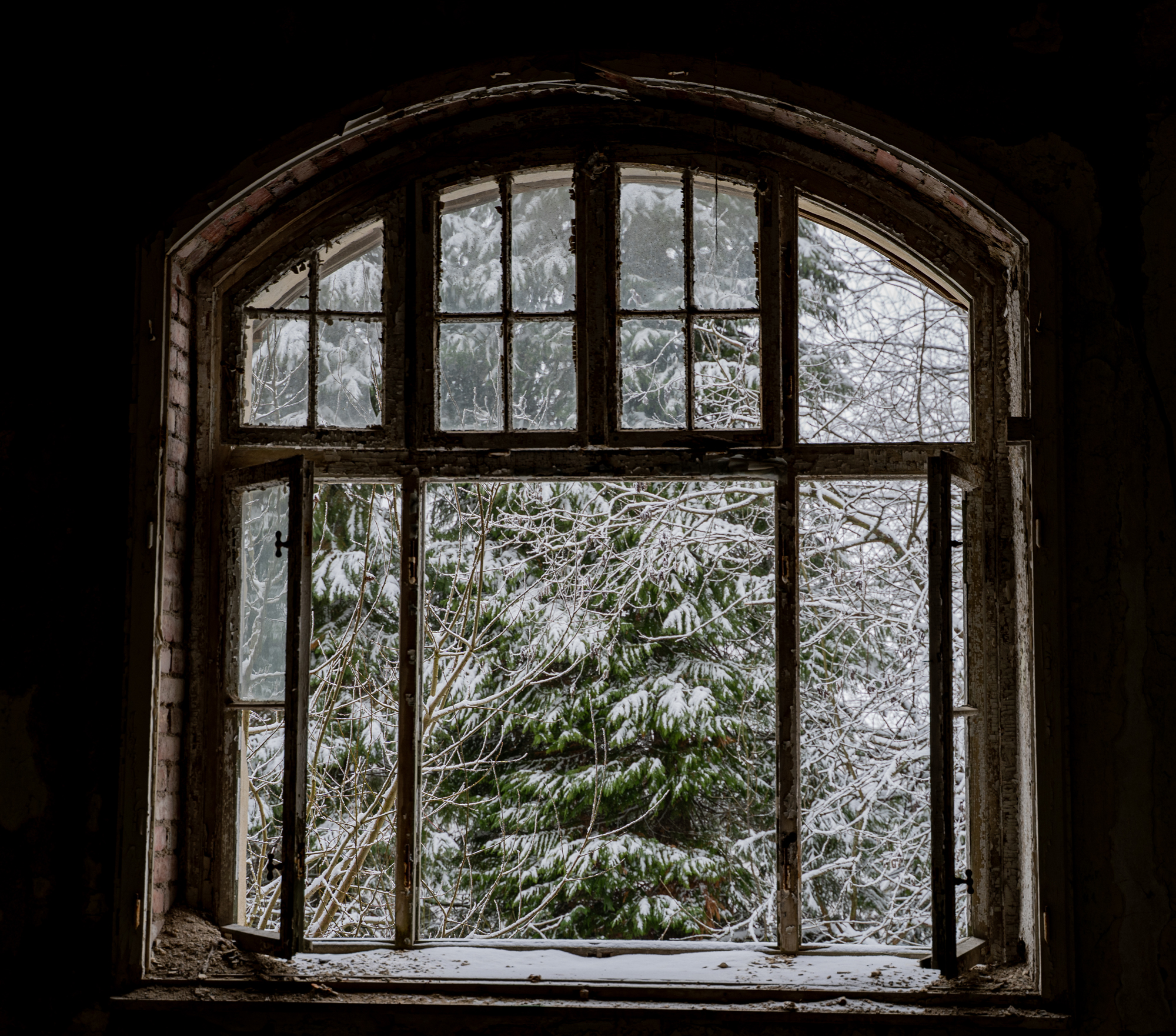 Johanniter Heilstätte Sorge – Blick durch defektes Fenster auf verschneite Bäume
