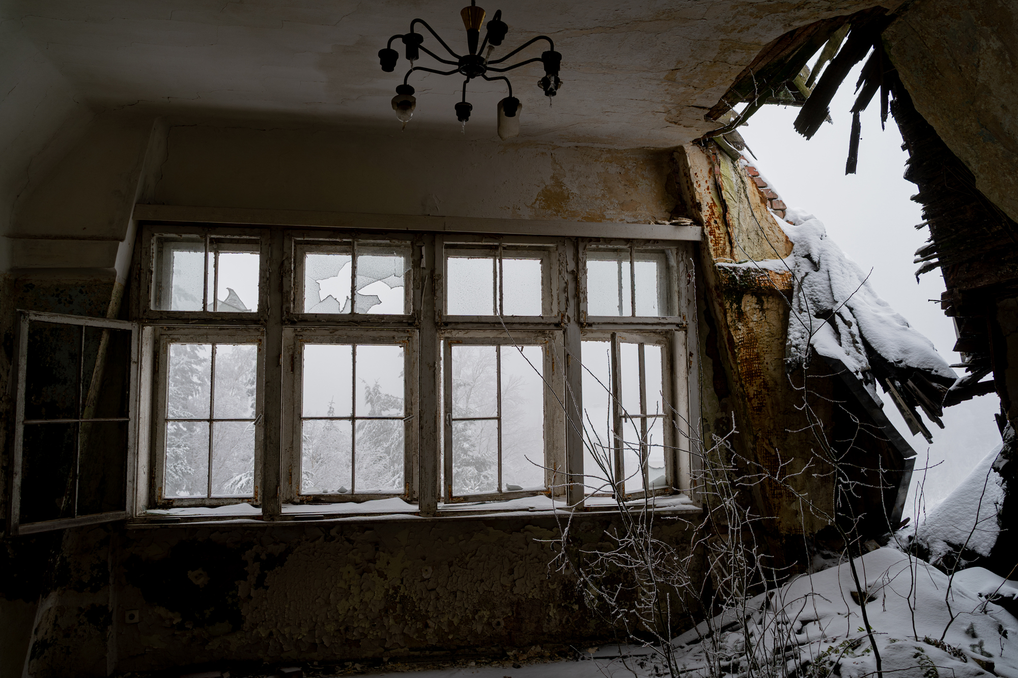 Johanniter Heilstätte Sorge – Bäume wachsen im Dachgeschosszimmer