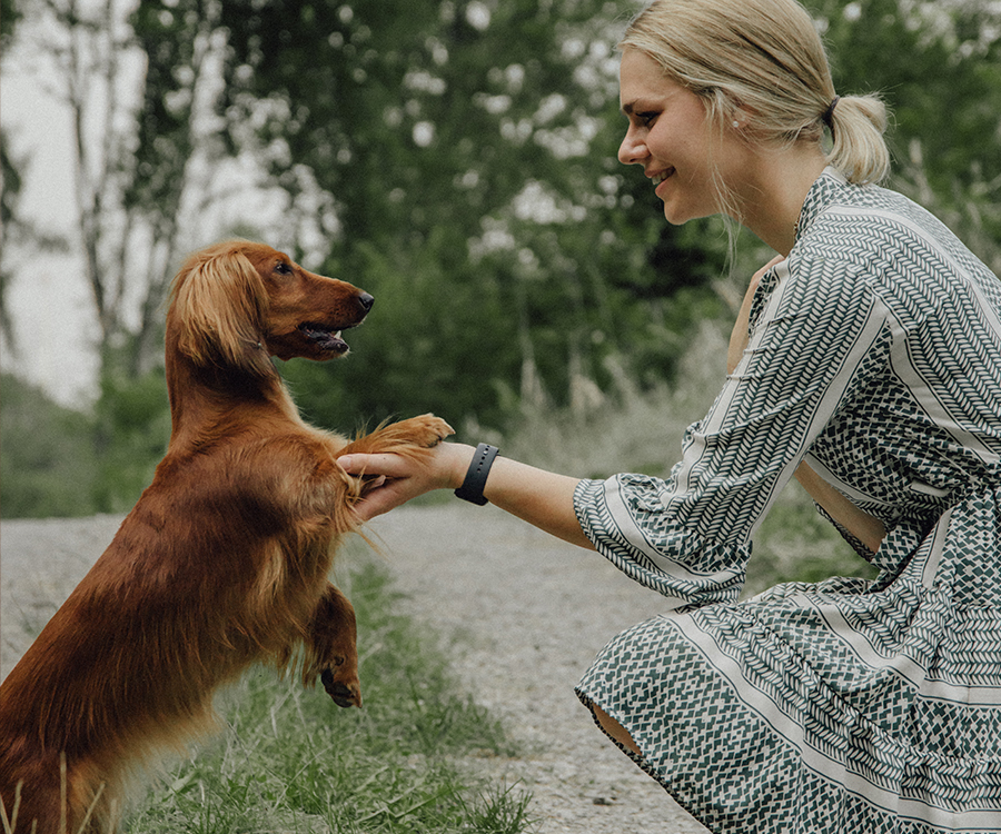 Blonde Frau hält im Grünen die Pfote eines braunen Hundes mit Augenkontakt