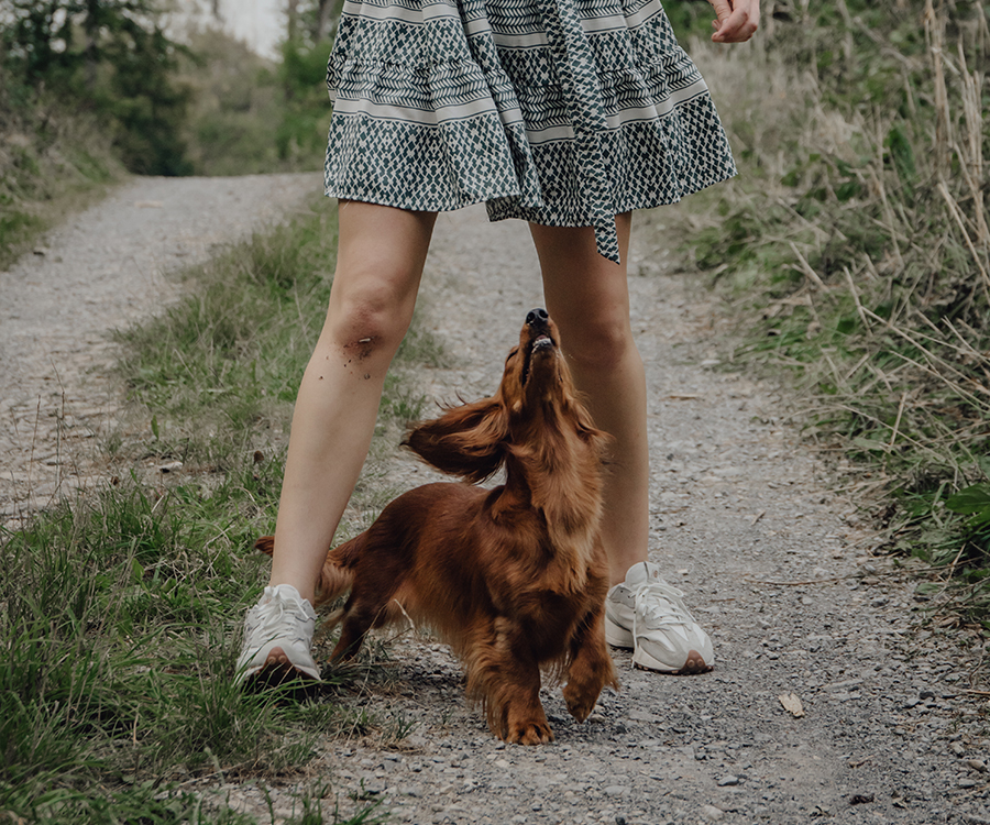 Blonde Frau steht im Grünen, ein brauner Hund schaut zwischen ihren Beinen zu ihr hoch