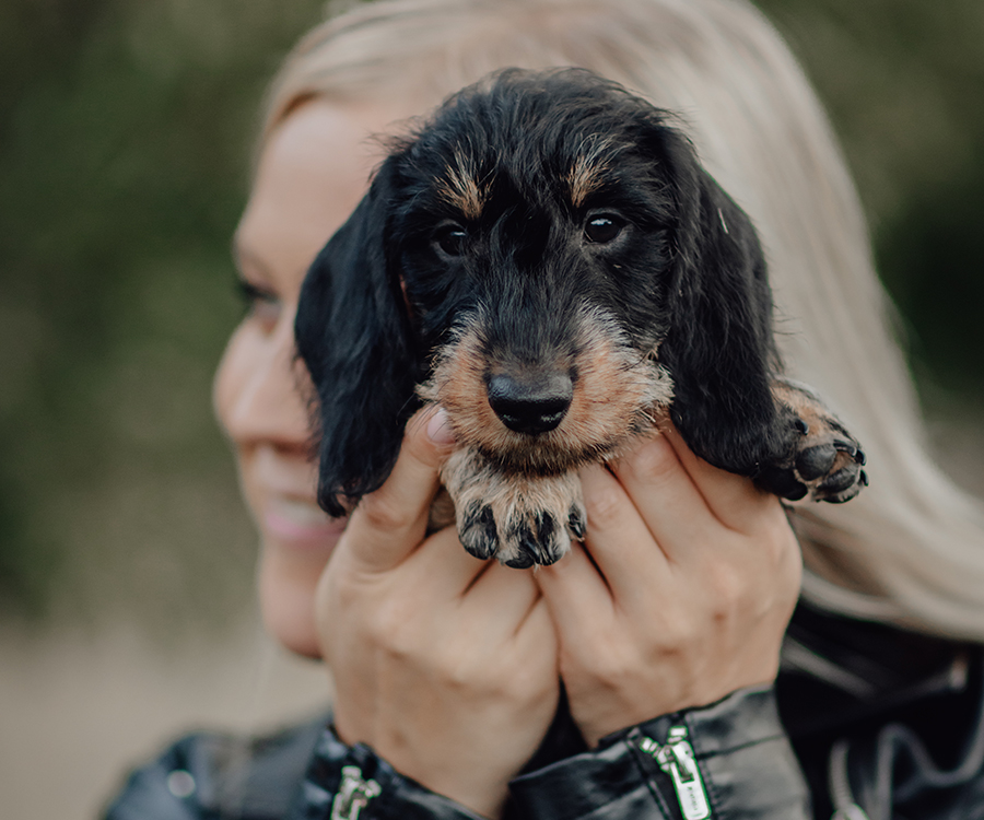 Blonde Frau hält einen schwarzen Dackel vor ihr Gesicht, Hund blickt in die Kamera